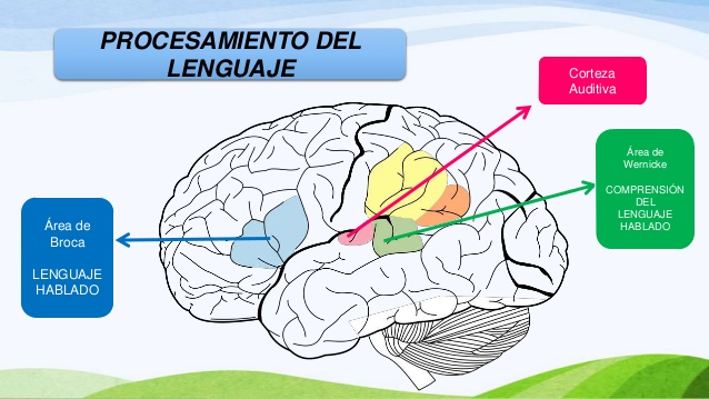 Imagen relacionada